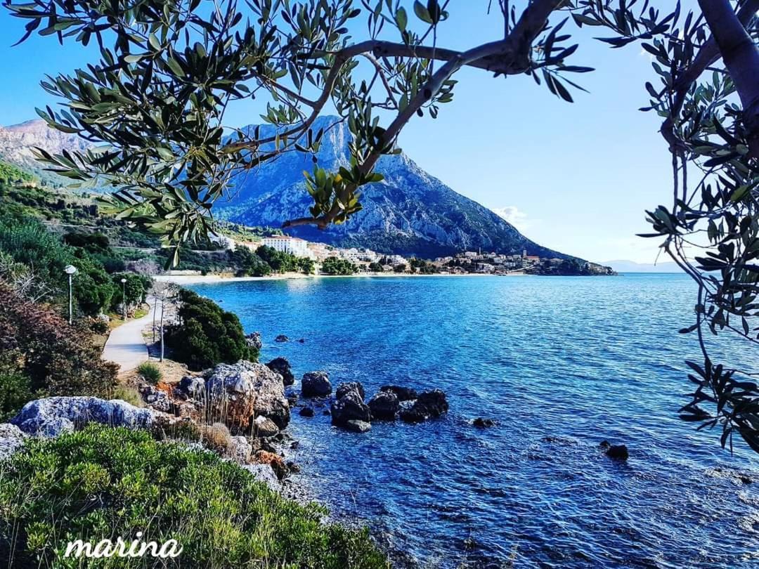 Apartmani Marina Gradac Gradac  Εξωτερικό φωτογραφία