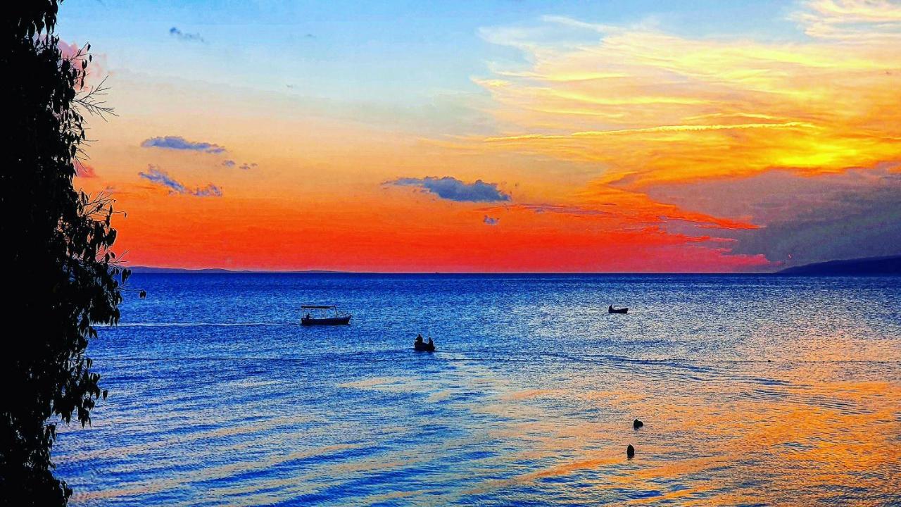Apartmani Marina Gradac Gradac  Εξωτερικό φωτογραφία